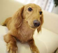 葬儀イメージ写真